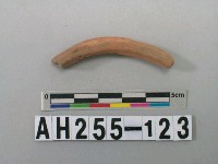 藏品(紅色泥質陶環殘件)的圖片